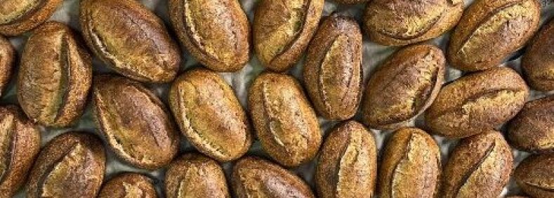 Achtergrond Miche